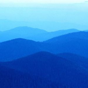 Meet your Posher, Ade